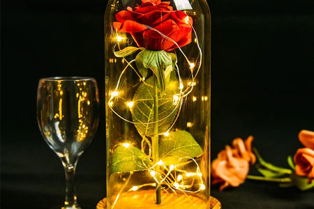 Gifts for Her Beauty and the Beast Eternal Rose in Glass Dome Artificial Forever Flower LED Light Mothers Day Gifts for Women