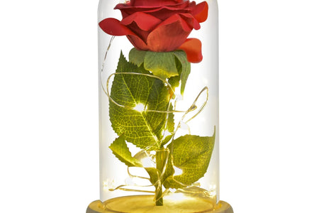 Gifts for Her Beauty and the Beast Eternal Rose in Glass Dome Artificial Forever Flower LED Light Mothers Day Gifts for Women